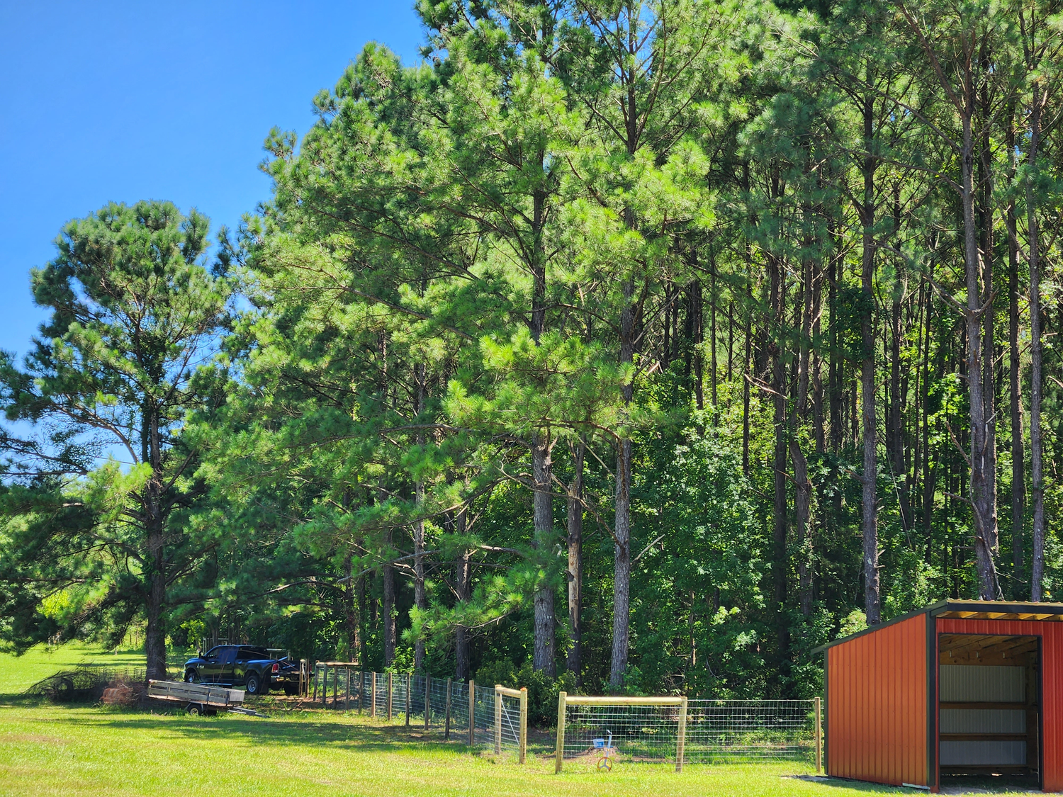 Frequency Farm Healing Homestead